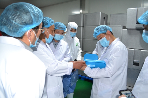 DSC_0446_副本.jpg
